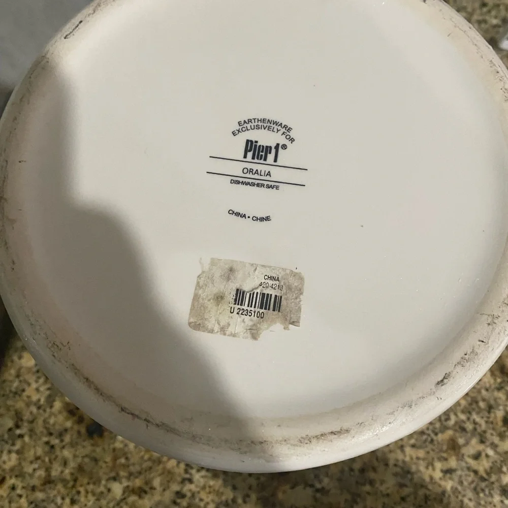 Pier 1 Earthenware Oralia Mediterranean Floral Discontinued Ceramic 11”Canister